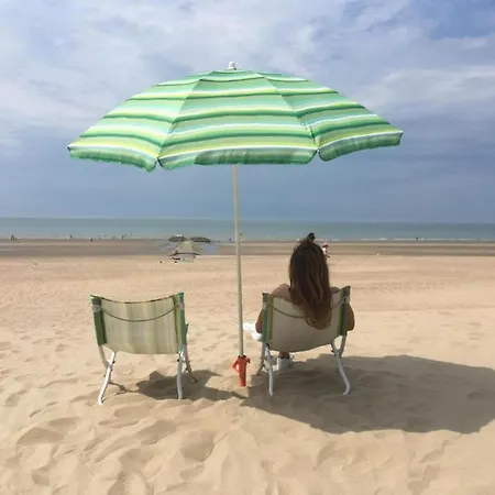 In Near The Sea, Cleaning Included 코크시데