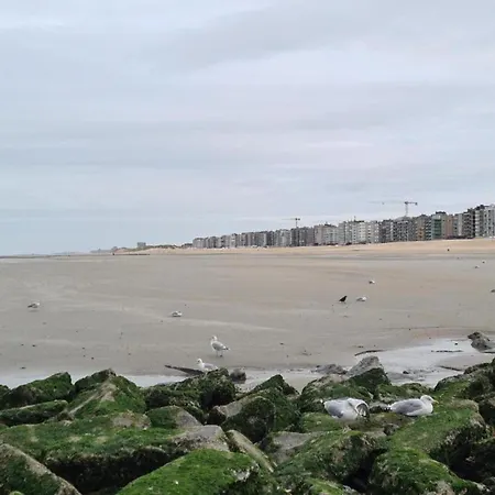 아파트 In Near The Sea, Cleaning Included *