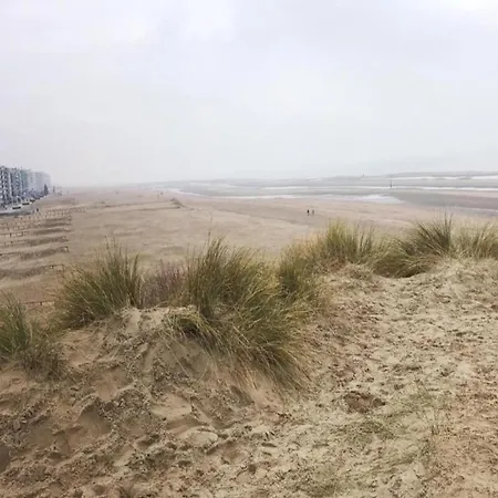 In Near The Sea, Cleaning Included Apartament Koksijde