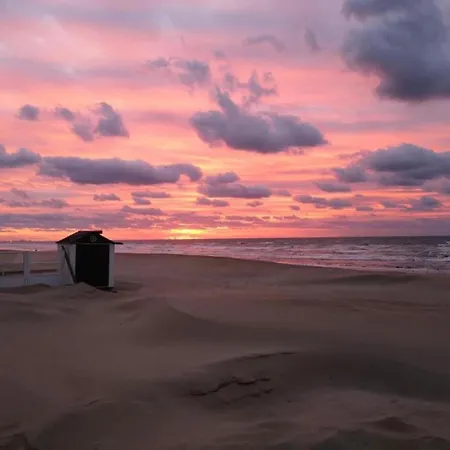 아파트 In Near The Sea, Cleaning Included 코크시데