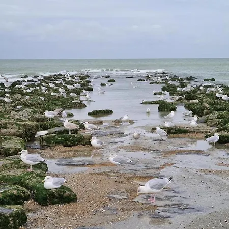 In Near The Sea, Cleaning Included Koksijde