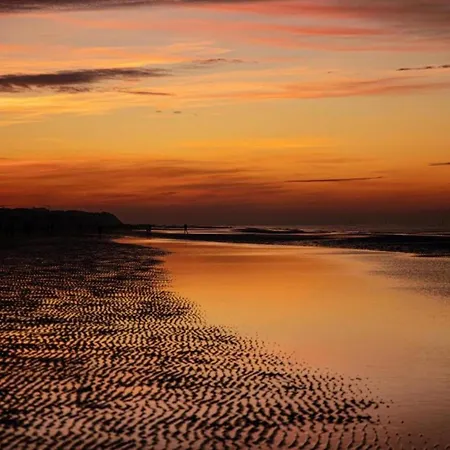 In Near The Sea, Cleaning Included