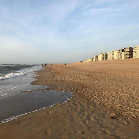 아파트 In Near The Sea, Cleaning Included 코크시데
