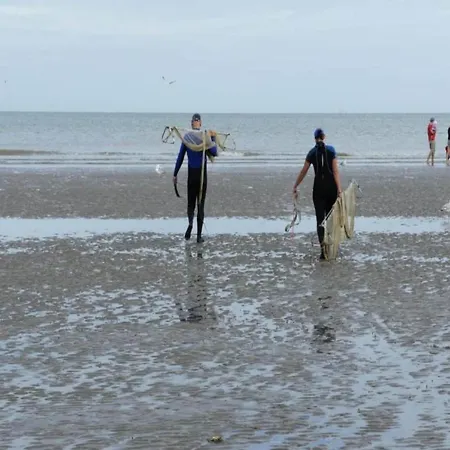 In Near The Sea, Cleaning Included 아파트